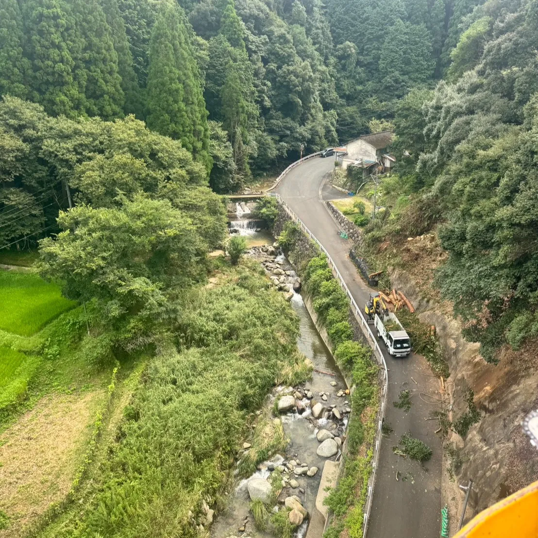 実は伐採工事も行います。