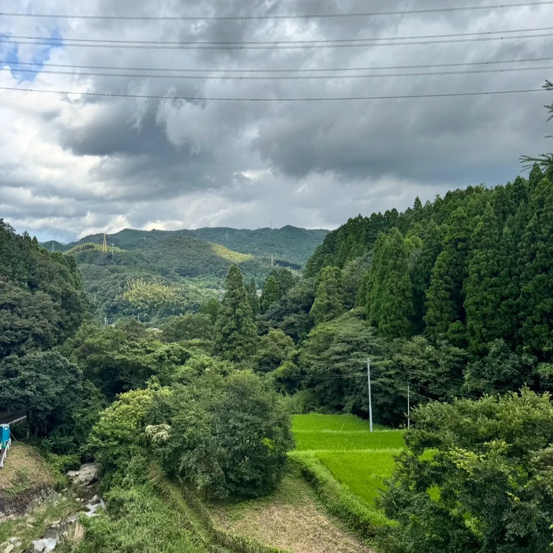 実は伐採工事も行います。