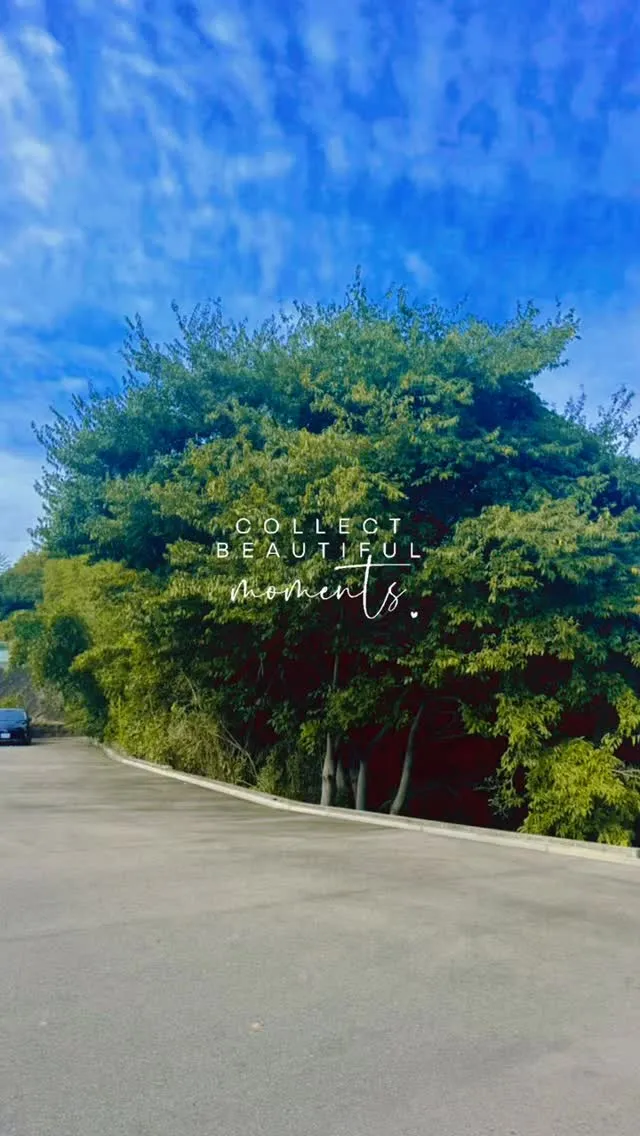 #外構 